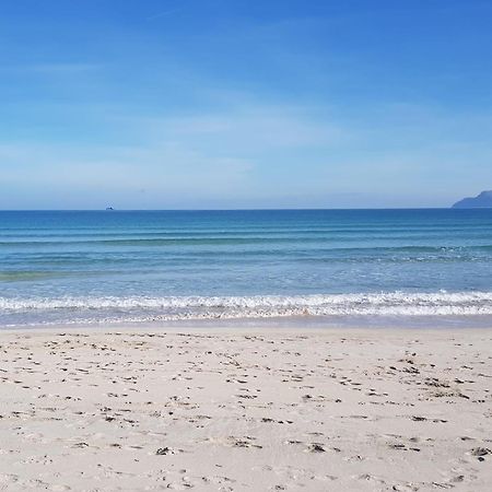 Ideal Property Mallorca - Cittadini 37 Alcudia  Dış mekan fotoğraf