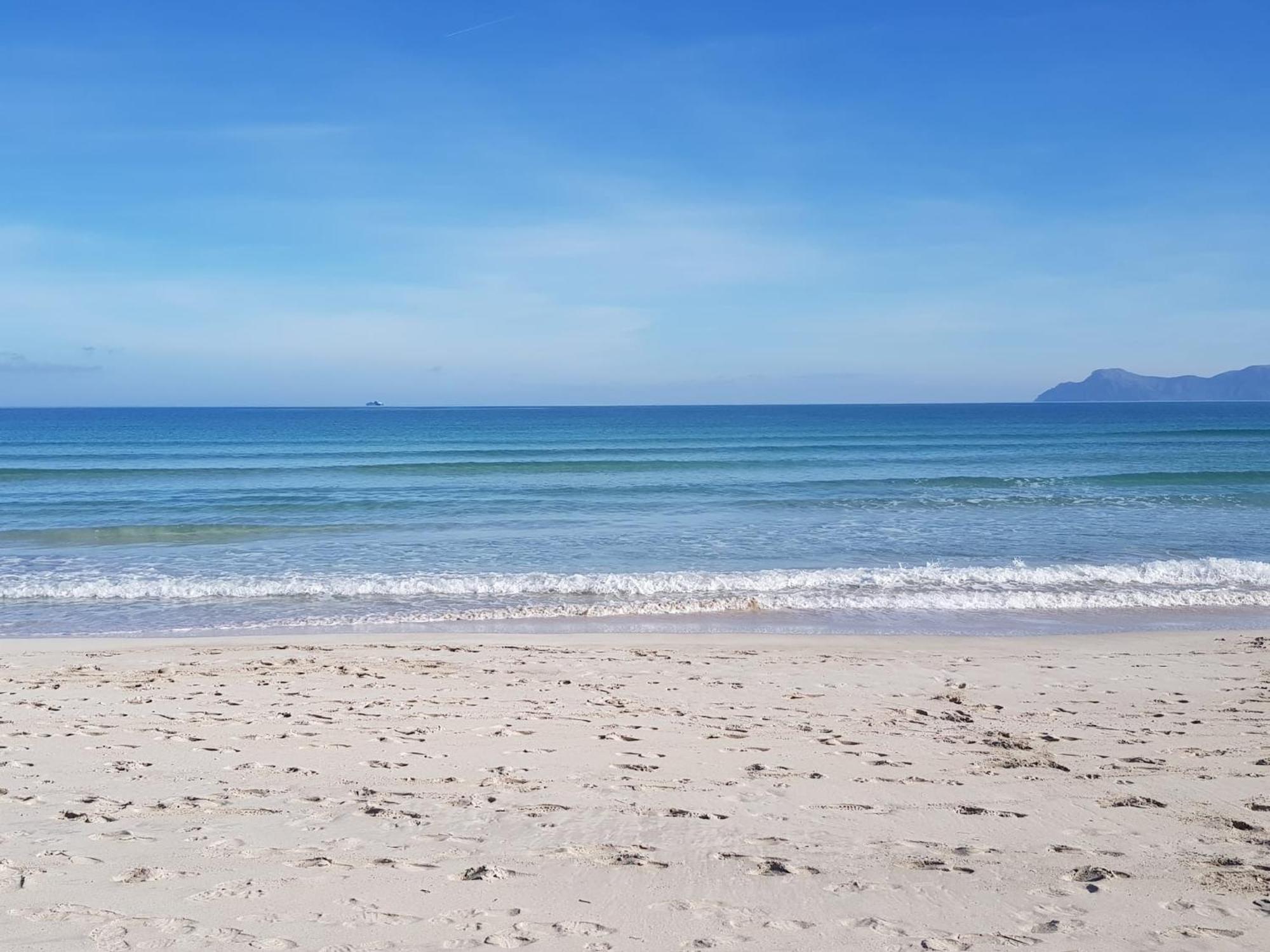 Ideal Property Mallorca - Cittadini 37 Alcudia  Dış mekan fotoğraf
